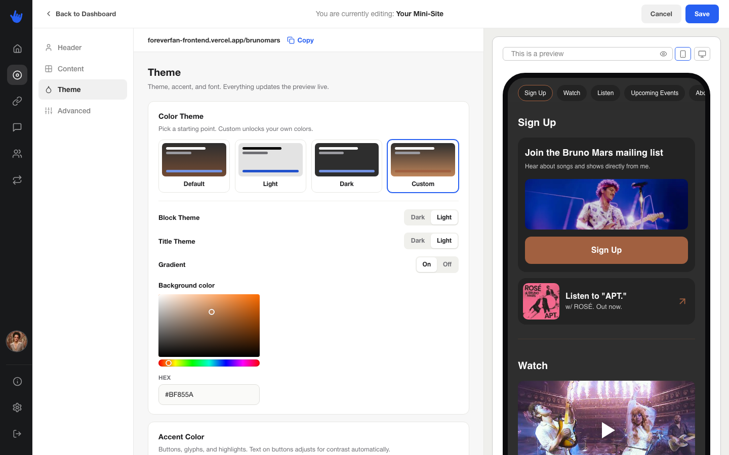 The Theme tab with swatches, accent color, and font picker